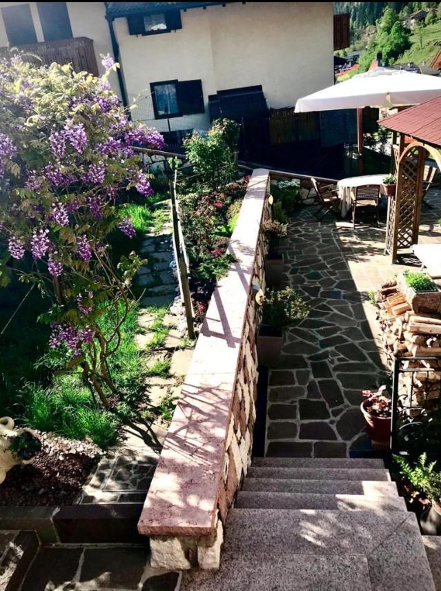 Bella Vista Apartment Canal San Bovo Exterior foto